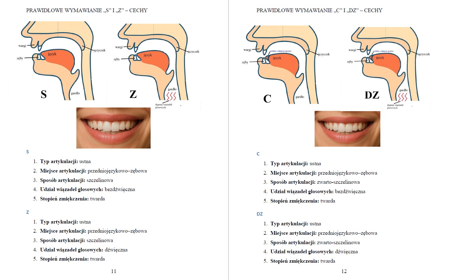 Seplenienie s,z,c,dz - terapia etapami - obrazek 3