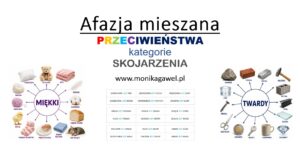 Afazja mieszana. Przeciwieństwa, kategorie, skojarzenia.