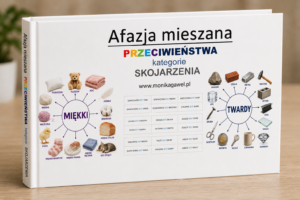 Afazja mieszana. Przeciwieństwa, kategorie, skojarzenia.